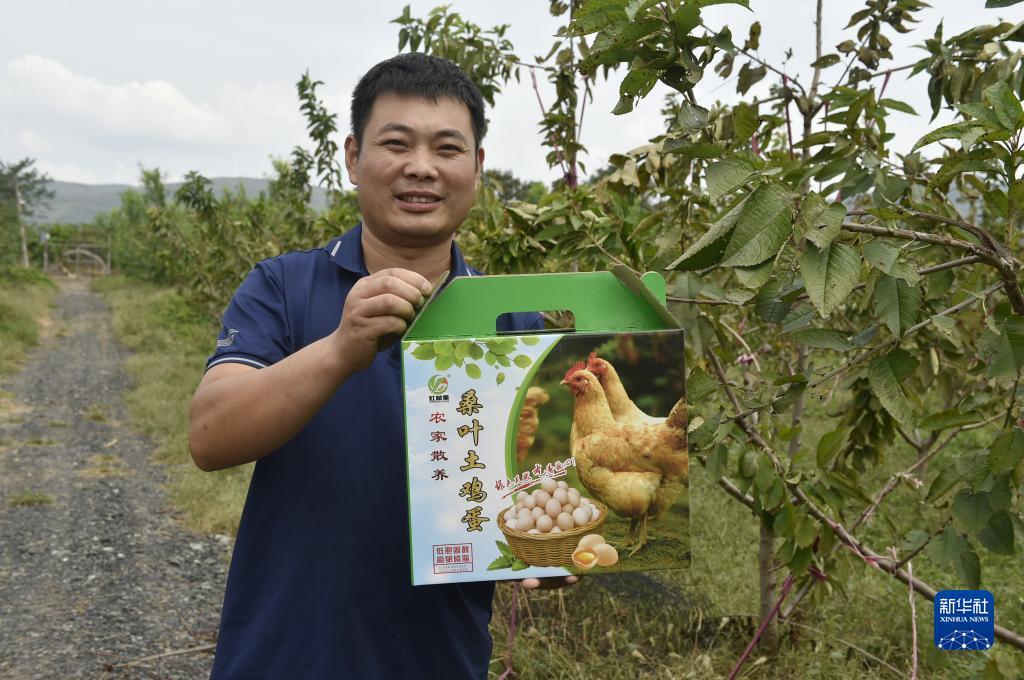 捕鱼人游戏官方
